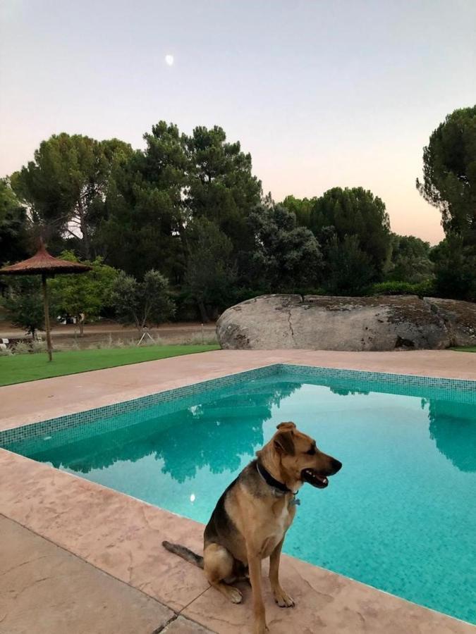 Casa Valdesanmartin - Country House, 10500Sqm, Pool, Paddel & Bbq El Tiemblo Kültér fotó